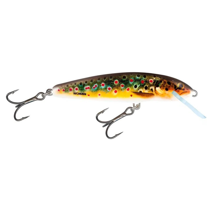 SEÑUELO SALMO FLOATING MINNOW 6 RBR