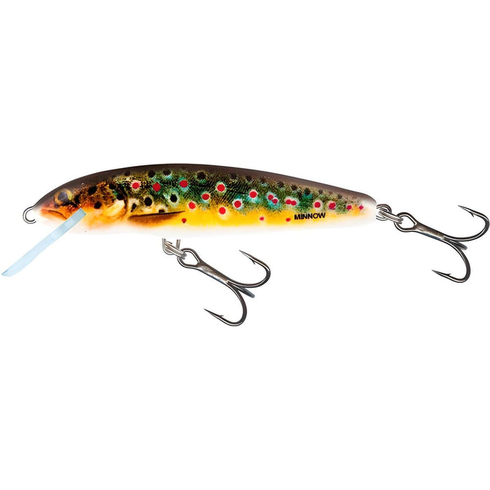 SEÑUELO SALMO FLOATING MINNOW 6 RBR