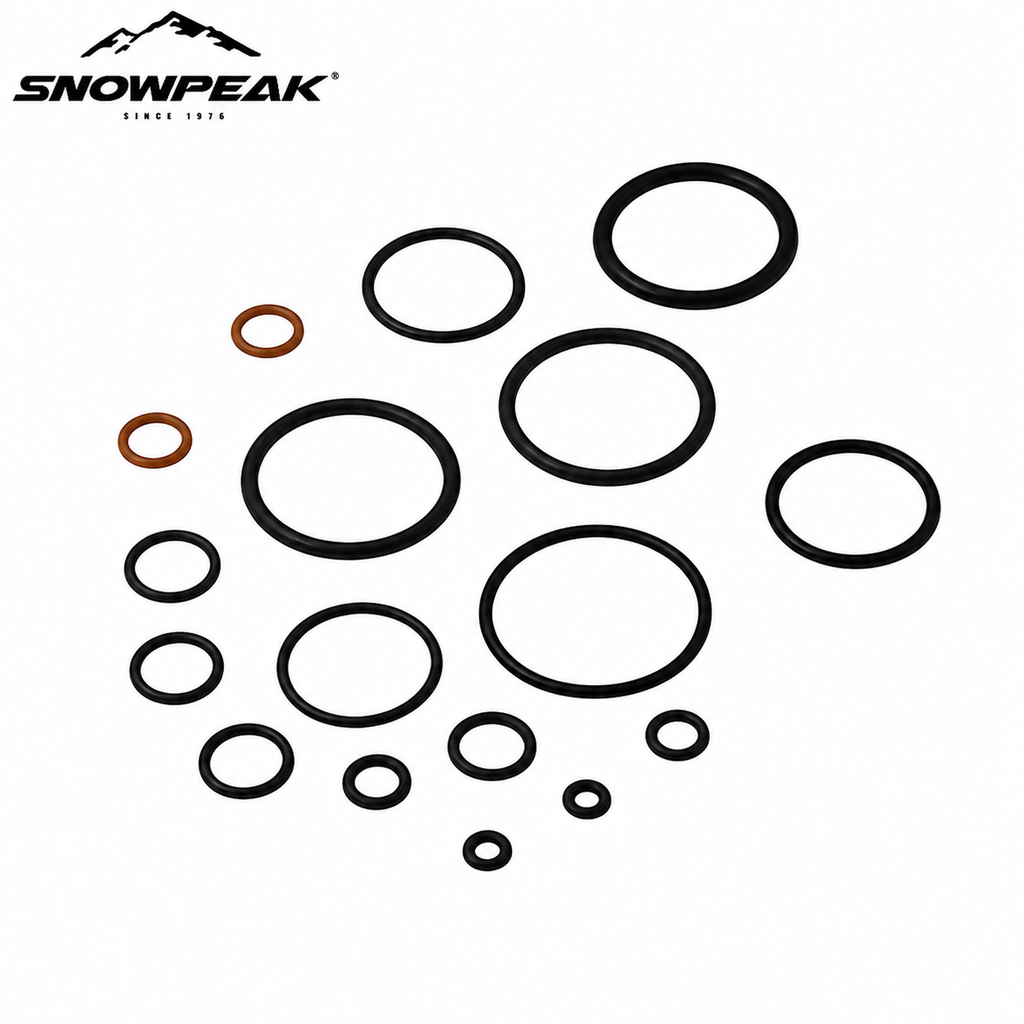SET O-RING P15