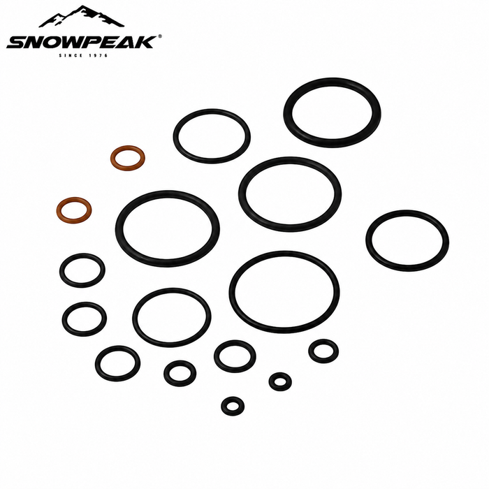 SET DE O-RING P10