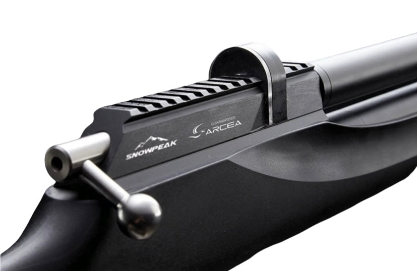 RIFLE PCP M25S 5.5